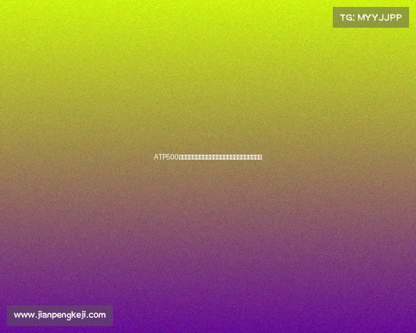 ATP500赛季火热开战世界顶尖球员激烈角逐荣耀时刻即将揭晓